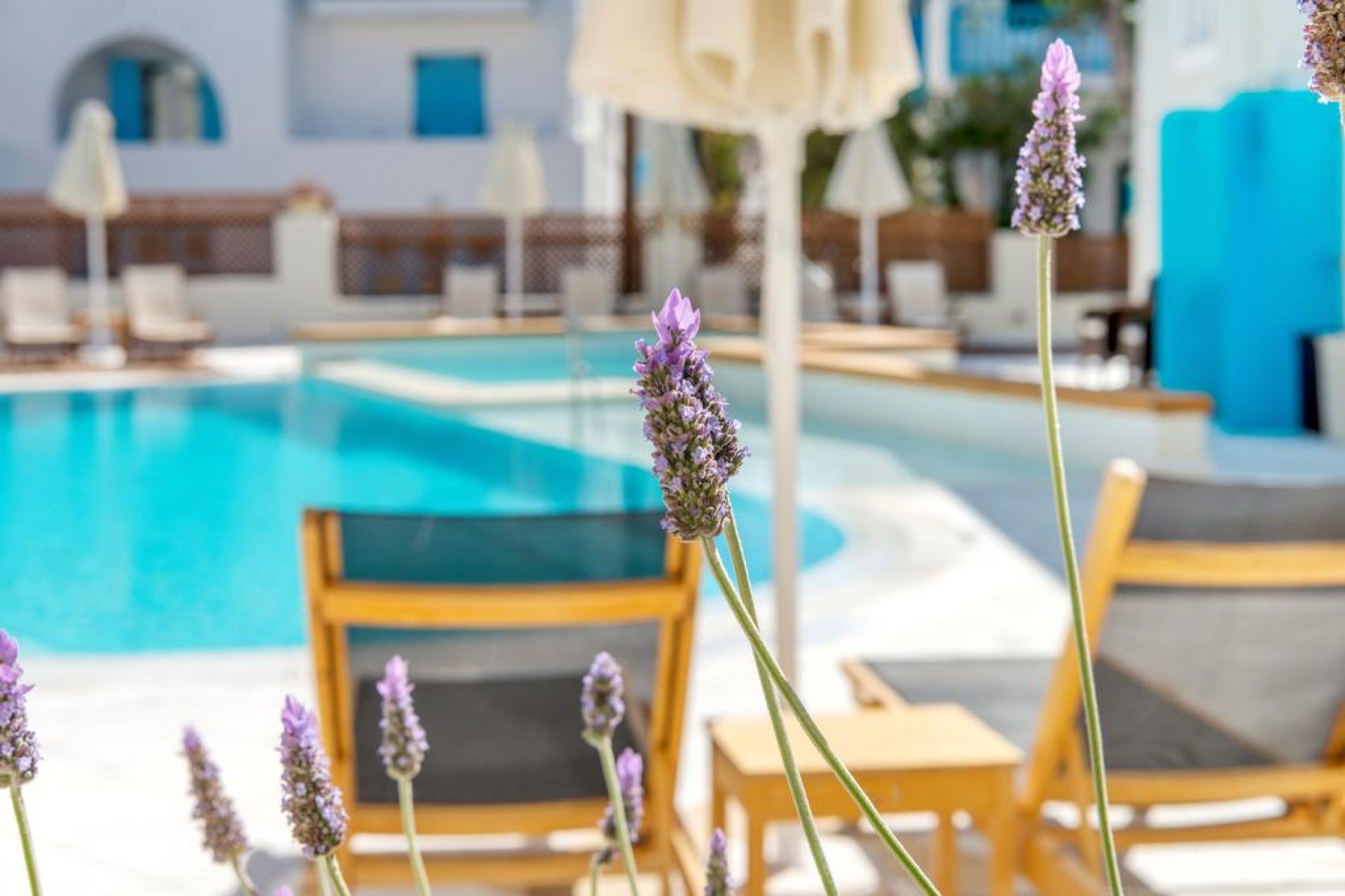 Nissaki Beach Hotel Naxos Hotels Greeka