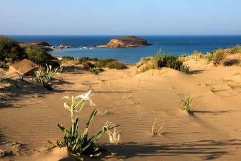 Sand Dunes. Lemnos, Eastern Aegean.