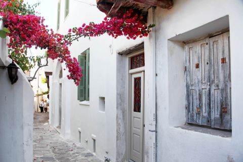 Paved alley and traditional buildings