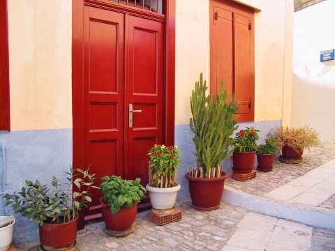 Beautiful flower pots