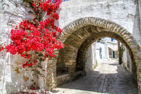 A picturesque spot with fuchsia flowers in Steni village