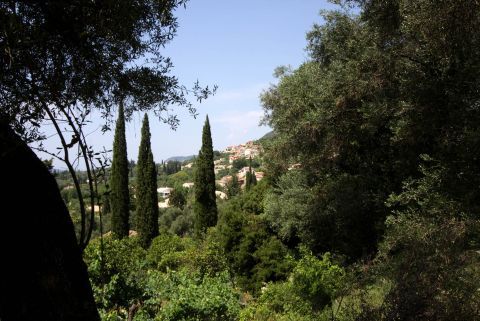 Vegetation in Korakiana