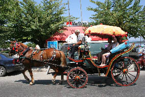 Horse carriages