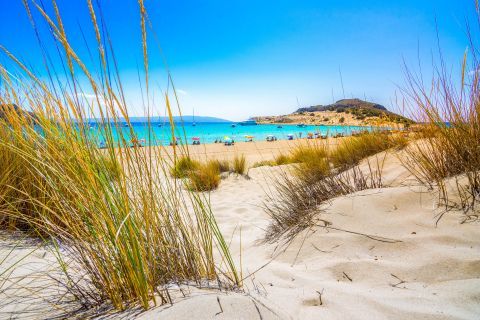 Soft sand and small bushes on Elafonissos beaches.