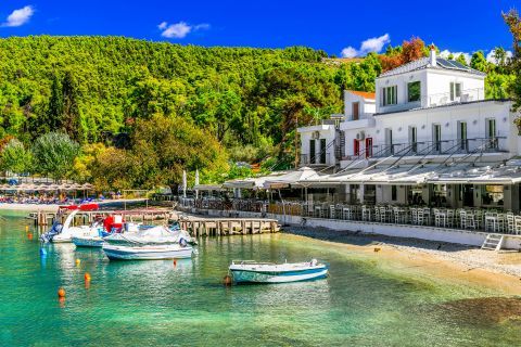 Impressive nature and tranquility. Agnontas beach, Skopelos.