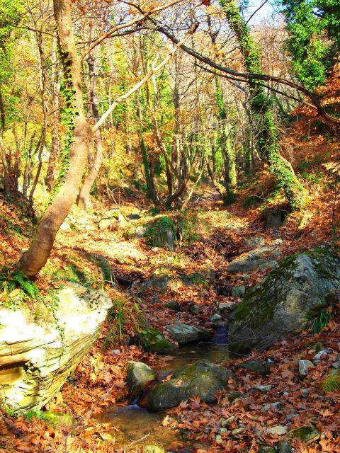 Centaurus path, Pelion.