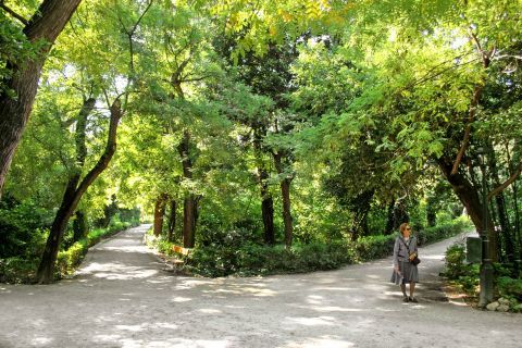 The dense lush of the National Garden