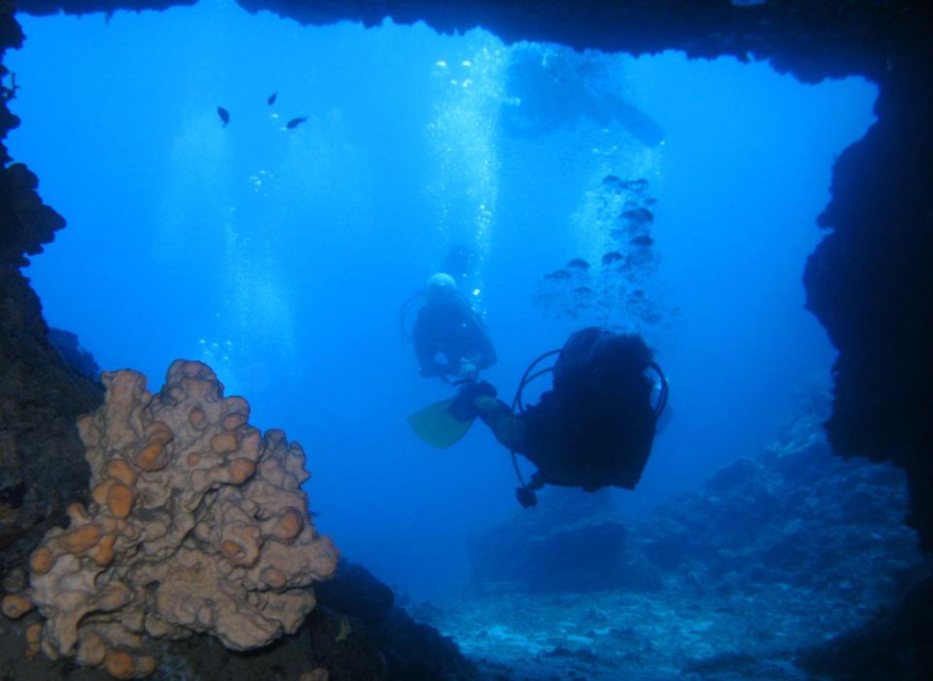 blue planet scuba diving