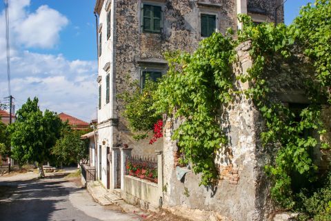 Lefkimi: Stone built houses with vegetation around them